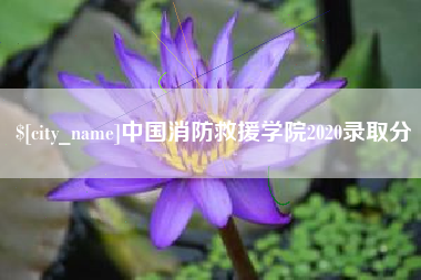 资兴中国消防救援学院2020录取分