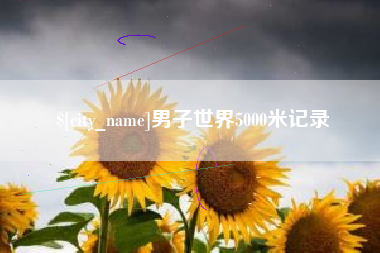 资兴男子世界5000米记录