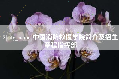 资兴中国消防救援学院简介及招生章程指挥部