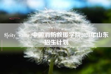 资兴中国消防救援学院2021年山东招生计划