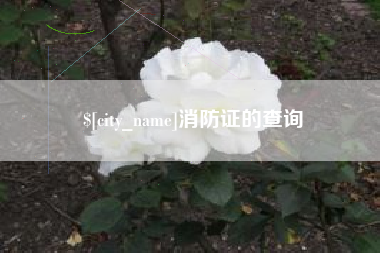 资兴消防证的查询