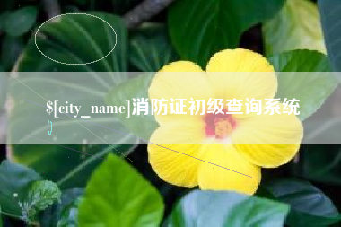 资兴消防证初级查询系统