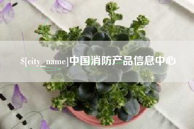 资兴中国消防产品信息中心