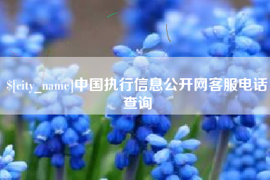 资兴中国执行信息公开网客服电话查询