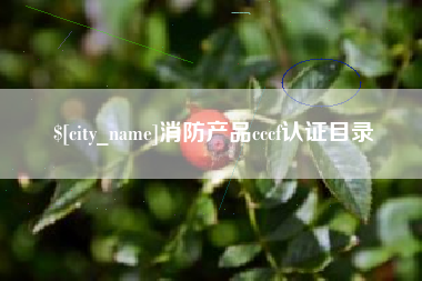 资兴消防产品cccf认证目录