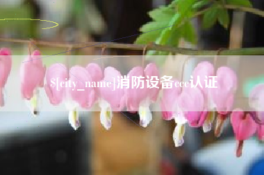 资兴消防设备ccc认证