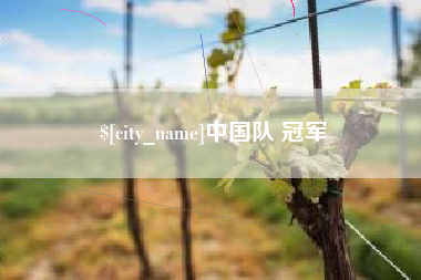 资兴中国队 冠军