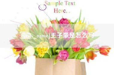 资兴王子豪是怎么写