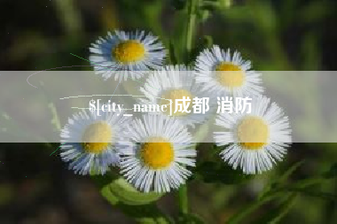 资兴成都 消防