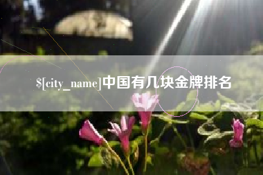 资兴中国有几块金牌排名
