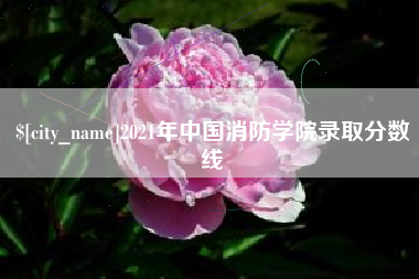 资兴2021年中国消防学院录取分数线
