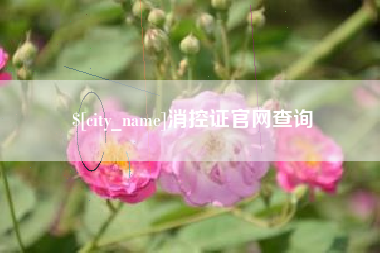 资兴消控证官网查询
