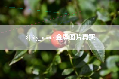资兴金牌图片真实