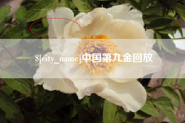 资兴中国第九金回放