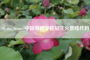 资兴中国消防学校招生分数线代码