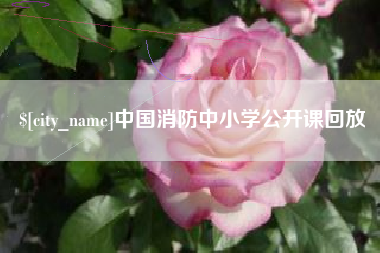资兴中国消防中小学公开课回放
