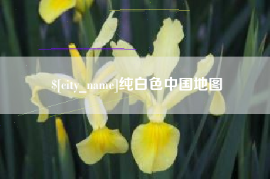 资兴纯白色中国地图