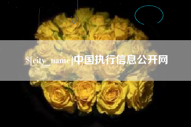 资兴中国执行信息公开网