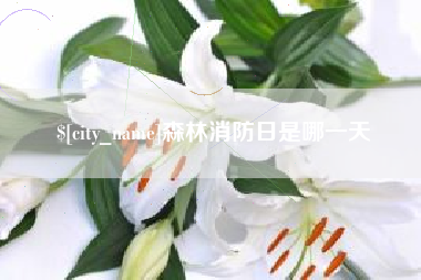 资兴森林消防日是哪一天