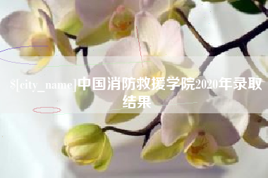 资兴中国消防救援学院2020年录取结果
