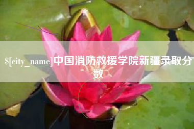 资兴中国消防救援学院新疆录取分数