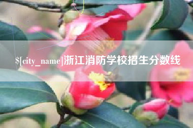 资兴浙江消防学校招生分数线