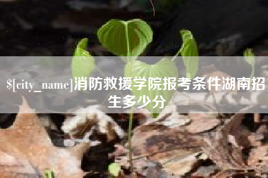 资兴消防救援学院报考条件湖南招生多少分