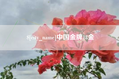 资兴中国金牌18金