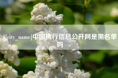资兴中国执行信息公开网是黑名单吗