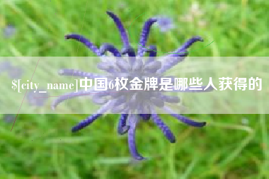 资兴中国6枚金牌是哪些人获得的
