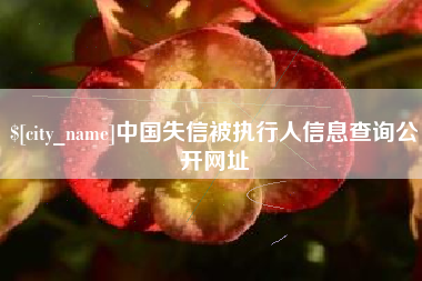 资兴中国失信被执行人信息查询公开网址