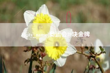 资兴奥运会39块金牌
