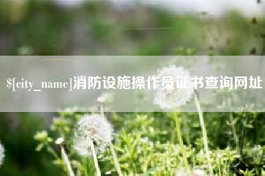 资兴消防设施操作员证书查询网址