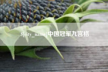 资兴中国冠军九宫格