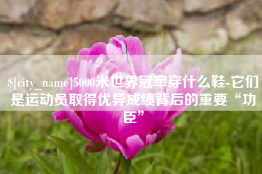 资兴5000米世界冠军穿什么鞋-它们是运动员取得优异成绩背后的重要“功臣”