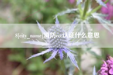 资兴消防ccc认证什么意思