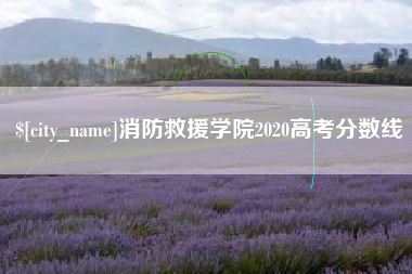 资兴消防救援学院2020高考分数线