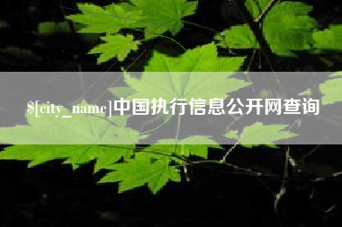 资兴中国执行信息公开网查询