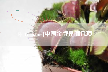资兴中国金牌是哪几项