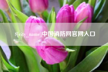 资兴中国消防网官网入口