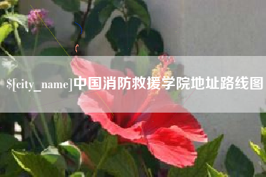 资兴中国消防救援学院地址路线图