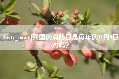 资兴我国的消防日是每年的11月9日对吗？