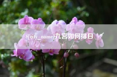 资兴九宫如何排日