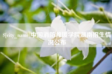 资兴中国消防救援学院湖南招生情况公布