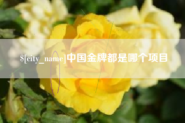 资兴中国金牌都是哪个项目