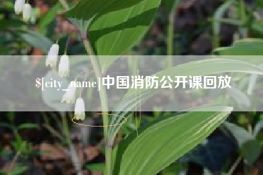 资兴中国消防公开课回放