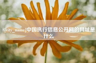 资兴中国执行信息公开网的网址是什么