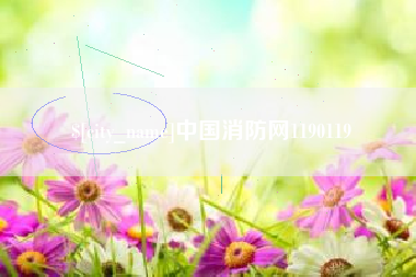 资兴中国消防网1190119