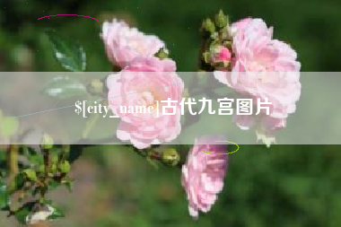 资兴古代九宫图片