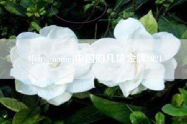 资兴中国的几块金牌2021